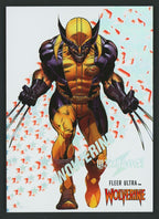Image #13